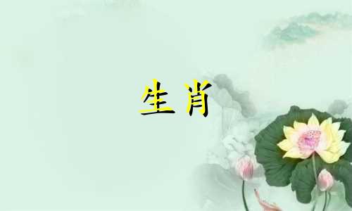 如果鸡或狗被斩首，几年后结果会是离婚吗？