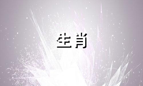 马年出生的两个人适合做情侣吗？属马人的命运如何？