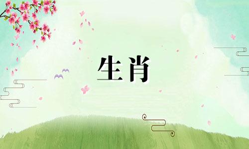 1991年属羊人几岁能遇到真爱？属羊的人会不会有第二次婚姻呢？