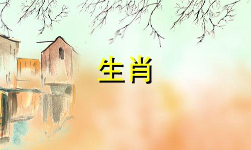 属兔的人36岁以后运势能改变吗？不适合属兔人居住的城市