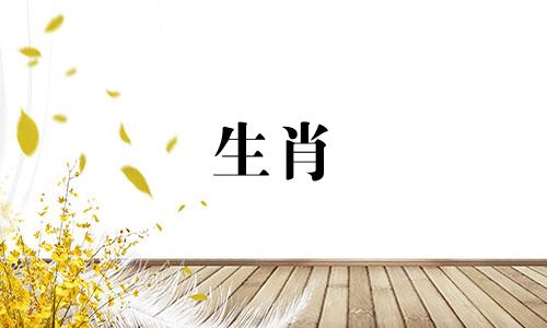 1984年,生肖鼠的婚姻会在哪里? 1984年属鼠女的结婚对象是谁?