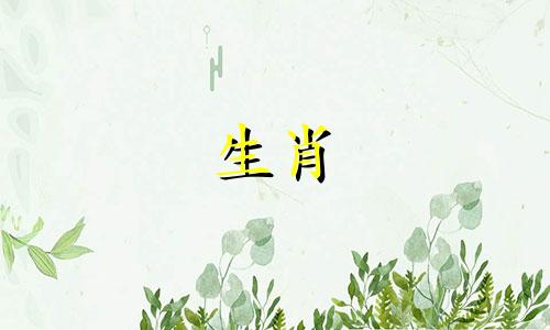 1966年属马的生肖是水还是火？ 1966年的马晚年靠的是谁？