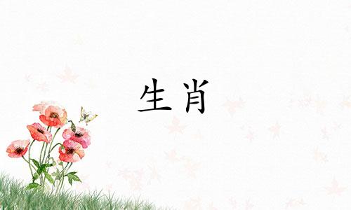 1977年,她是穷蛇还是富蛇? 1977年,蛇女的余生靠的是谁?