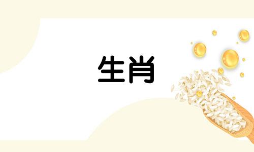 78、属马人后半生的真正婚姻是什么样的?马与马的婚姻怎么样?