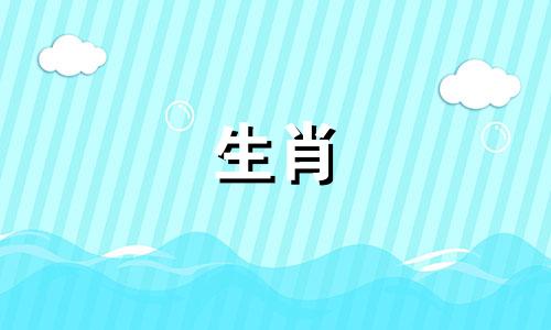 1994年属狗人是木相还是火相？谁会是狗狗一生中的贵人呢？