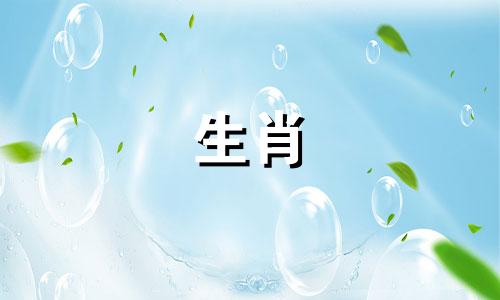 2023年6月属马人的运势如何?属马的生肖是什么?