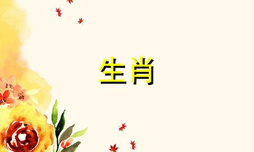 1991年羊年什么时候生宝宝?属羊的人与哪个生肖最配?