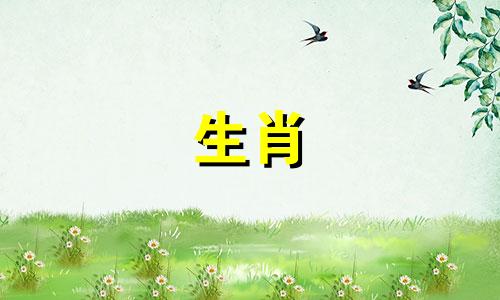 2023年农历五月生肖鼠的运势如何？属鼠的人应该穿什么才能带来好运呢？