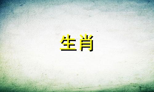 鸡年已经是20多岁了。距离下一个鸡年还有多少年？