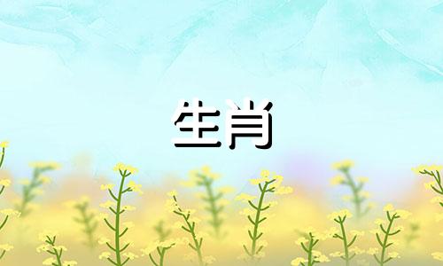 2023年农历属龙五运势如何?属龙的人会和谁有好运呢?