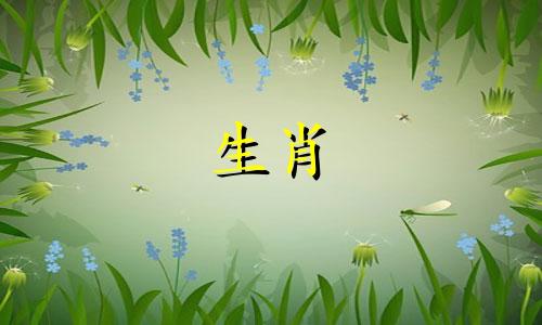 如果2024年是属龙年的话，2024年会发生什么？ 2024年的命运是什么？