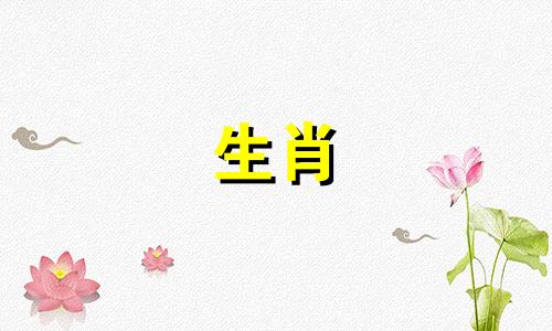 如果第一胎是狗，第二胎是兔子可以吗？妈妈是狗，孩子是兔子。