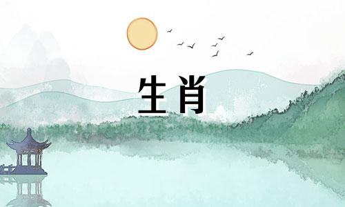 1995年,山顶上一个名叫火明的男人的命运诞生了。山下的人都是哪一年出生的?