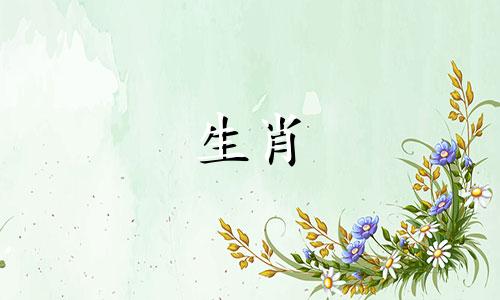 属狗的生肖与哪个生肖最配?属狗人第二次结婚是在哪一年1982年?