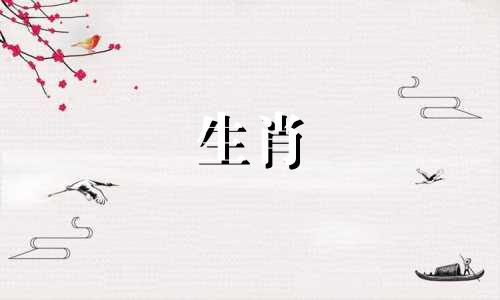 兔年出生的老大是兔年出生的老二好吗？如果我的儿子是兔年出生的，二胎生什么最好呢？