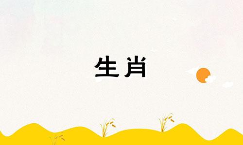 2024年，兔年和属龙年会带来财富和人际关系。财富会流向哪个方向？