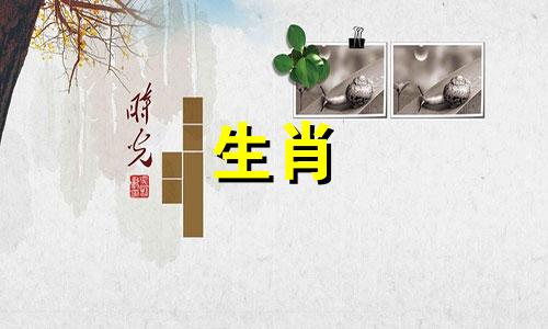 1992年属猴的五行应该缺少什么？五行缺木怎么办？