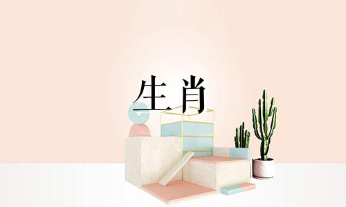 老大是羊，老二是兔好不好？羊的第一胎是什么？