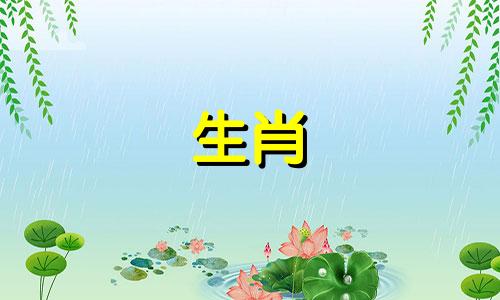 第一个出生在虎年，第二个出生在兔年好不好？第一个出生的星座和第二个出生的星座是相互冲突的。