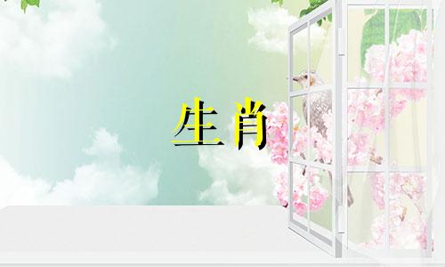 2023年属兔的人可以结婚吗？为什么属兔的人不能嫁给属龙的人？