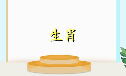 属虎人在2024年结婚好不好？虎年和属龙年哪个月适合结婚？