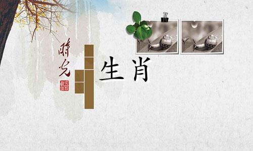 1983年出生的属猪人之间的关系如何？ 83年出生的属猪人40岁以后还会生孩子吗？