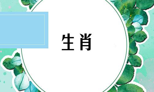 1982年属狗人一生有二婚、二婚的属相。