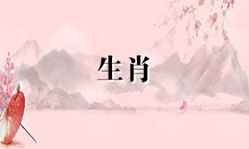 2002年马年出生的人命运如何? 2002年马年出生的人命运如何?