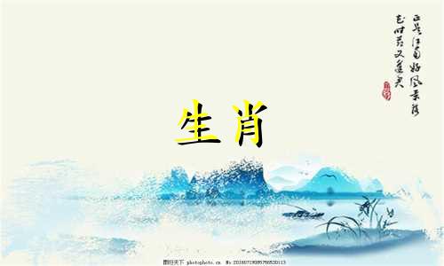 2002年2023年的马几岁了？ 2002年属马人会穷还是富？