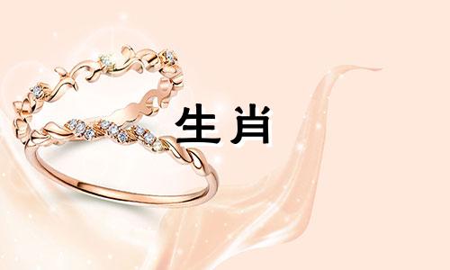 2023年生肖猪闰月运势，健康运势需注意