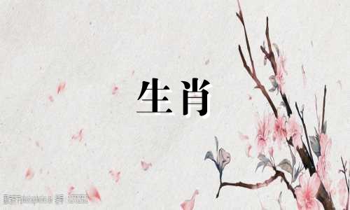 属兔人今年下半年会不会有霉运呢？兔子最怕什么？