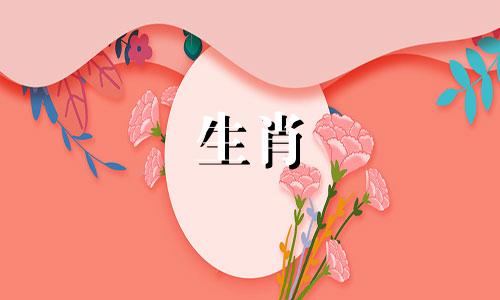 1981年属鸡的人适合住在8楼吗？这是属鸡人最忌讳的楼层。