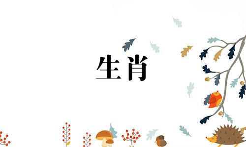 1977年45岁属蛇人的命运,2023年属蛇人会犯太岁吗?