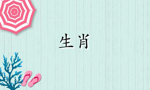 1987年结婚的属兔女最大的支持者是谁？