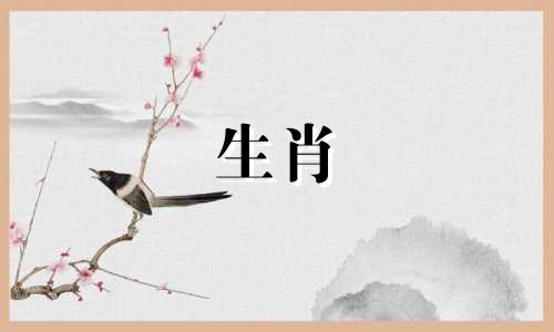 鸡年过去了，什么会带来好运呢？属鸡的三大禁忌是什么？