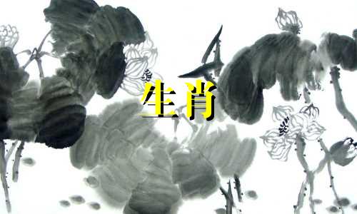 为什么2007年被称为金猪年？ 2007年出生的人可以考重点大学吗？