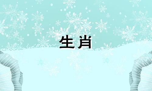 属狗的人适合二月结婚吗？