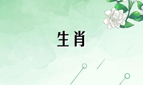 哪些生肖与属龙最配？属于属龙的四个生肖是冲突的。