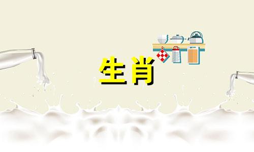 猪属于五行中的哪一种？金、木、水、火、土。哪只猪的命运最好？
