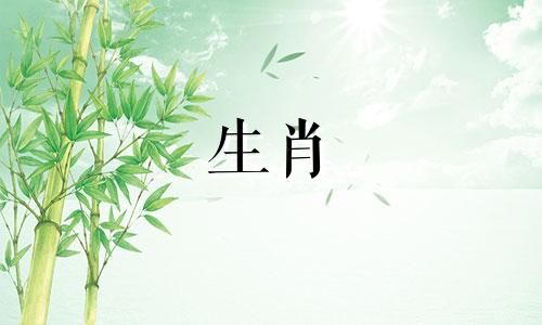 2023年春节后属蛇人能换工作吗?哪个行业最适合他们?