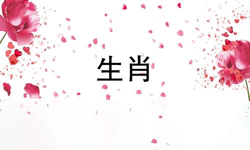 狗年床位的正确摆放位置。狗年最流行挂在床上的东西是什么?