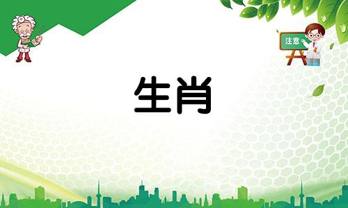 兔、戌年出生的男孩好不好？属兔与哪些生肖有冲突？