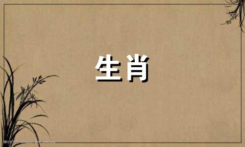 属马的人不能开哪两种颜色的车？十二生肖中属马的幸运颜色是什么？