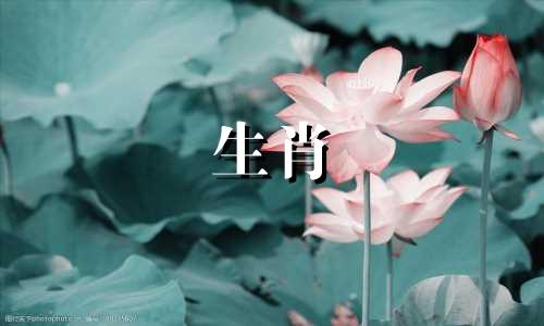 属马人一生会结几次婚?属马人出轨了还会回来吗?