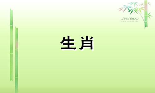 属兔人一生会结几次婚?属兔的人2023年婚姻运势如何?