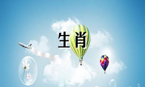 属兔的男生长得丑有好处吗?属兔人的最佳出生时间是什么时候?