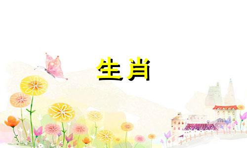 属兔的女生一生是不是很坎坷呢？