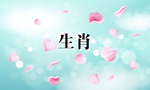 为什么虎年出生的人不准搬家？属虎的家里有人了怎么办？