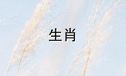 属羊的女人适合做老婆吗?为什么不娶一个属羊的女孩呢?