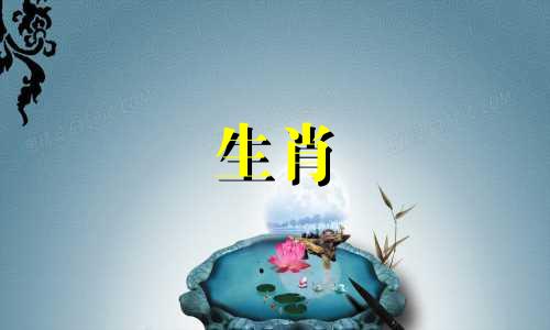 属蛇人2022年腊月12月运势如何？